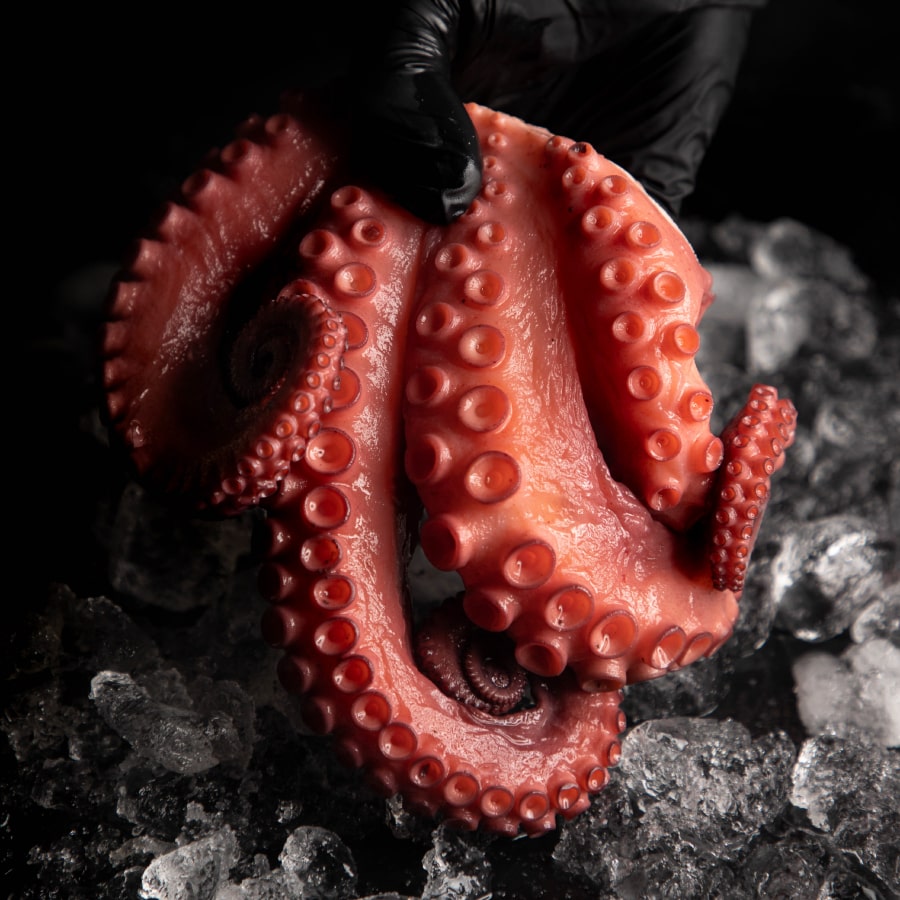 PULPO COLOSAL 500 a 600 G