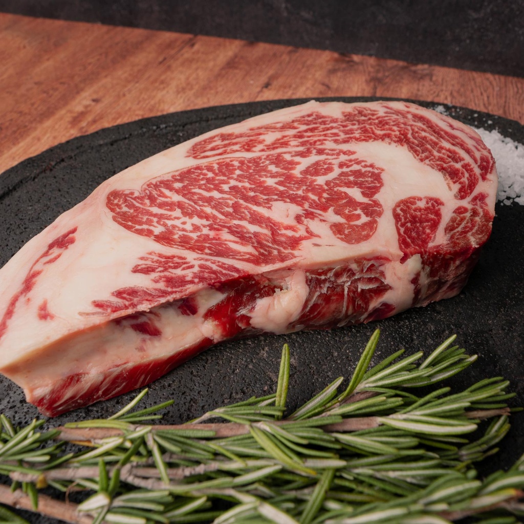 RIBEYE WX 5+ PIEZA BÁSICA