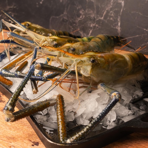 [FBLAI02] LANGOSTINO JUMBO CON CABEZA