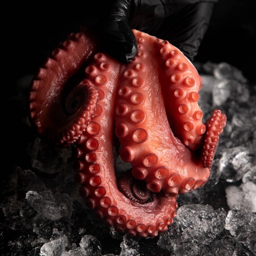 [SALTYPUL02] PULPO COLOSAL 600 a 700 G
