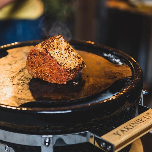 [FBYG800707] Plato Redondo Teppanyaki