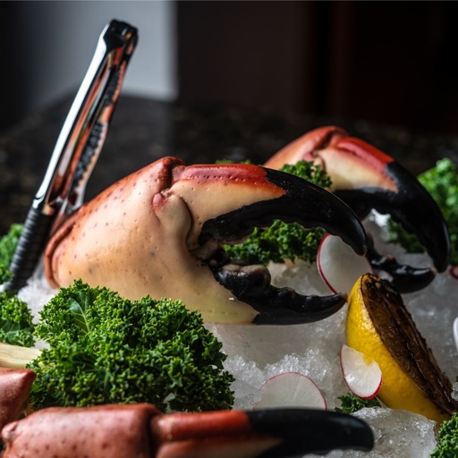 [FBCTM05] TENAZA DE CANGREJO MORO SUPER COLOSAL (STONE CRAB)