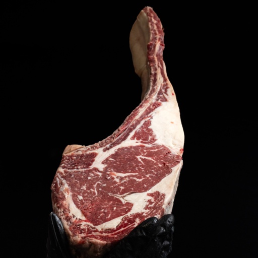 [FBJCTO03] TOMAHAWK BMS 3 JC