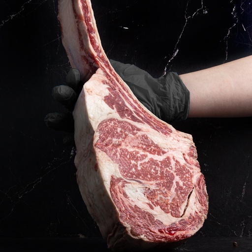 [FBBMT05] TOMAHAWK BLACK MARKET BMS 5