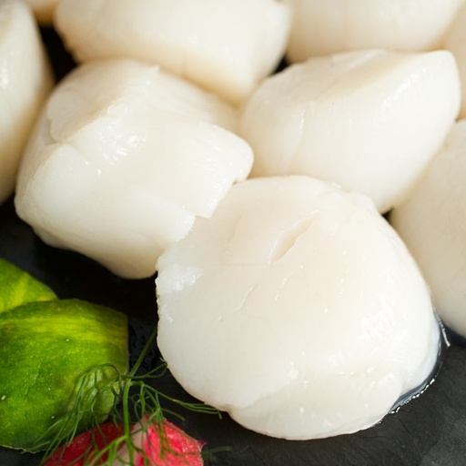 [FBCAG01] CALLO GARRA DE LEÓN U10 BOSTON