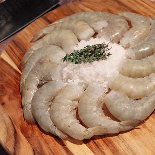 [FBCAU08] CAMARÓN U8 AZUL