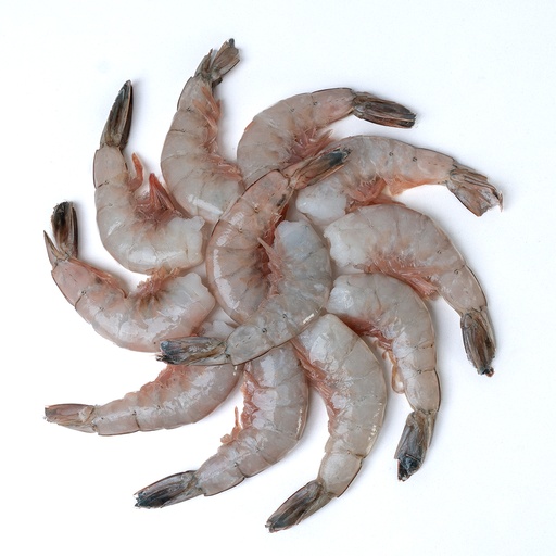 [FBCAUCC15] CAMARÓN AZUL U15 C/C