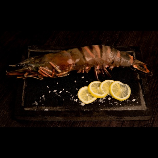 [FBCTU01] CAMARÓN TIGRE U1