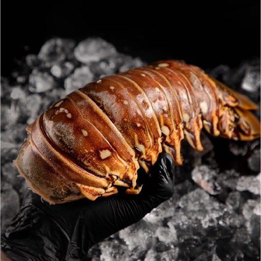 [FBCLA04] COLA DE LANGOSTA COLOSAL (1.1 - 1.2 Kg)