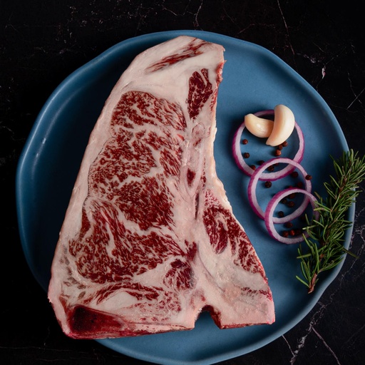 [FBWXSK9] T-BONE WX9+